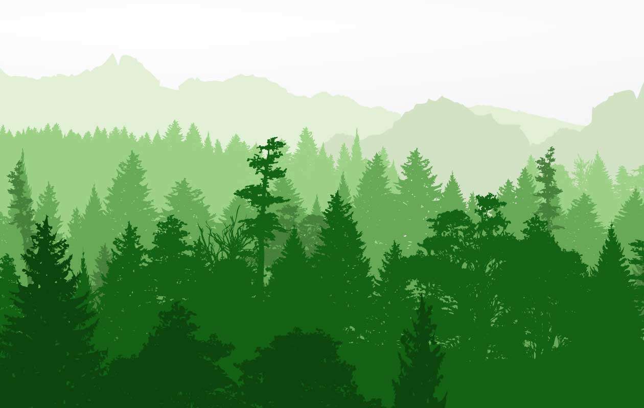 Zone Clothing Official Home Streetwear & Clothing Designs